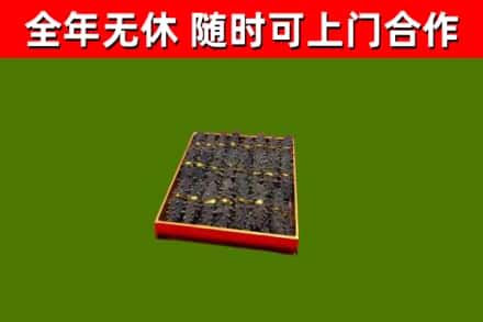 武冈回收海参